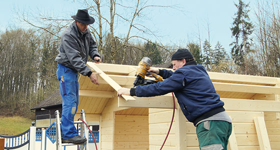 Montage fr Holz in Haus und Garten